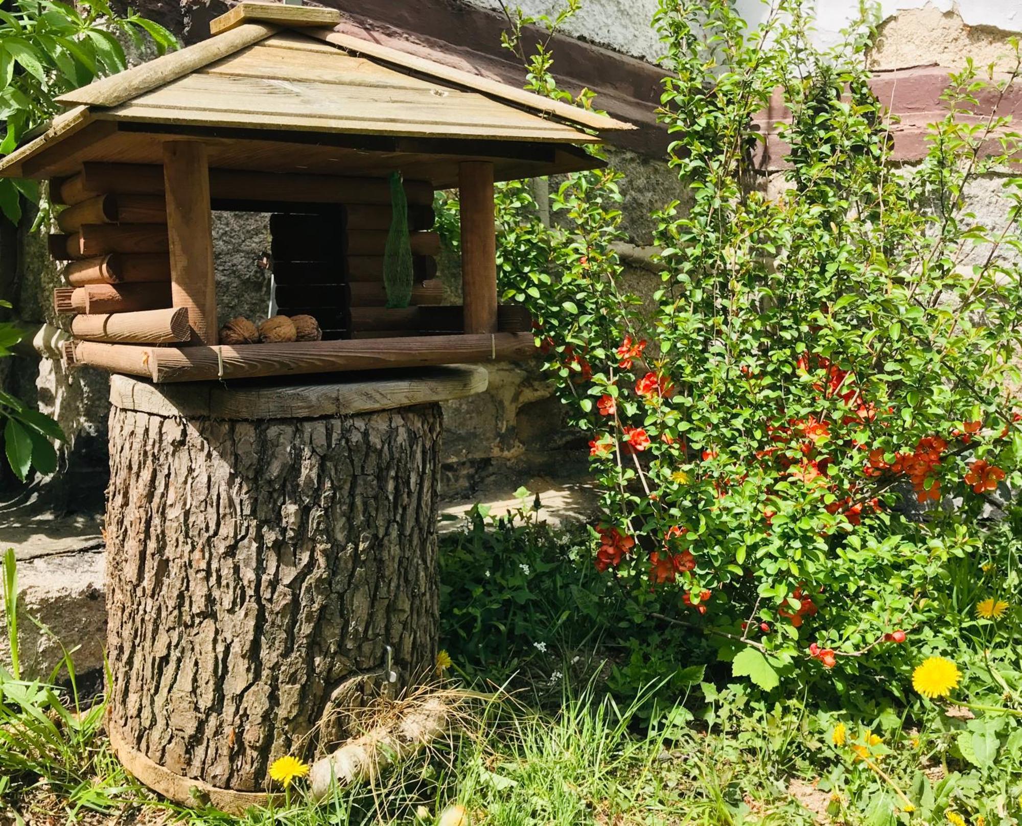 Apartamenty Pod Skocznia Karpacz Quarto foto